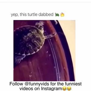 Meet your Posher, Branden